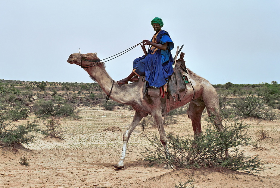 Tuareg tribe