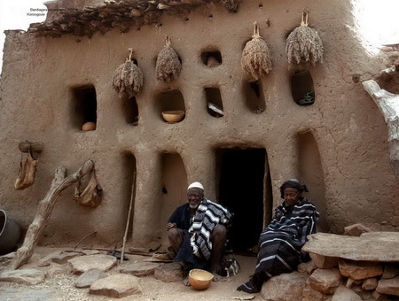 Dogon tribe